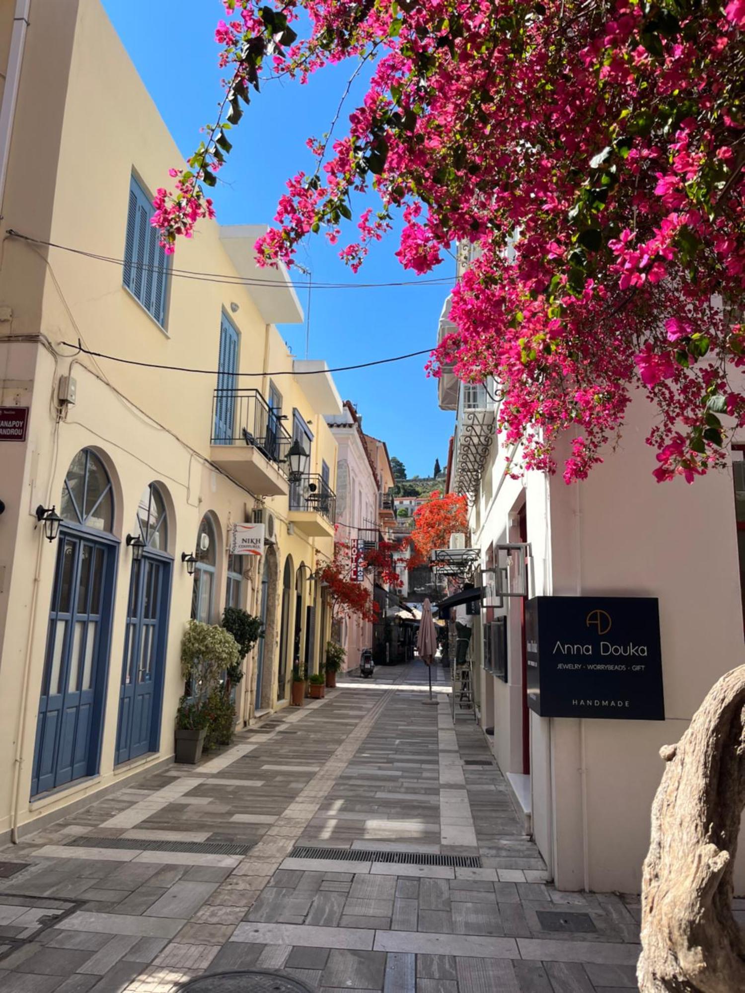 Villa Artemis Nafplion Tolo Ngoại thất bức ảnh